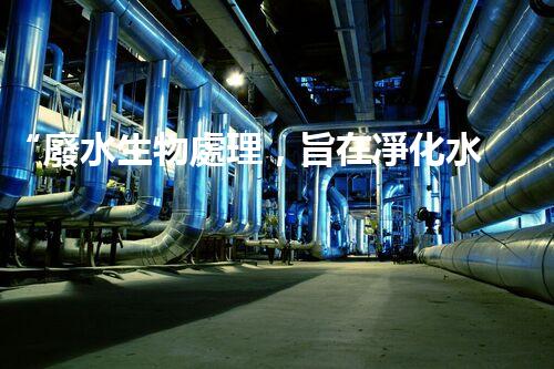 “廢水生物處理，旨在凈化水源，守護(hù)碧水藍(lán)天”